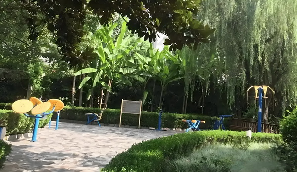 外地应届毕业生怎么落户深圳_董璇前夫高云翔给天下男人狠狠上了一课 了一课名失全部中联者